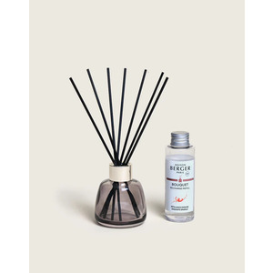 Maison Berger Mini glaçon diffuser Maison Berger Mini glaçon diffuser